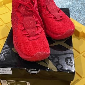 Nike LeBron 17 red carpet size 6